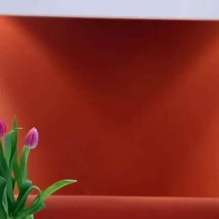 1st Creatif Elephant 3*