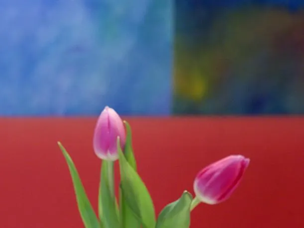 1st Creatif Elephant 3* Munich