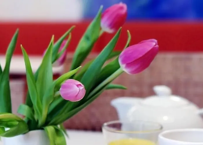 1st Creatif Elephant 3* Munich