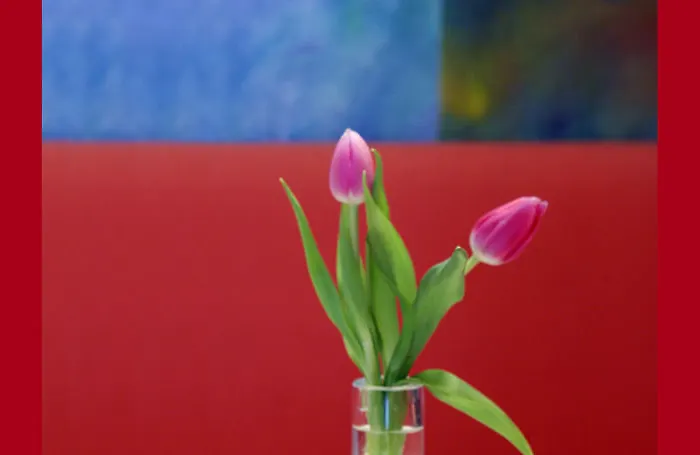 Hotel 1st Creatif Elephant 3*